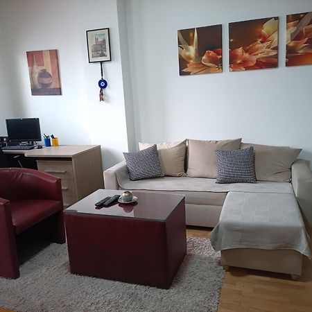 Centar Apartment Aleks スコピエ エクステリア 写真
