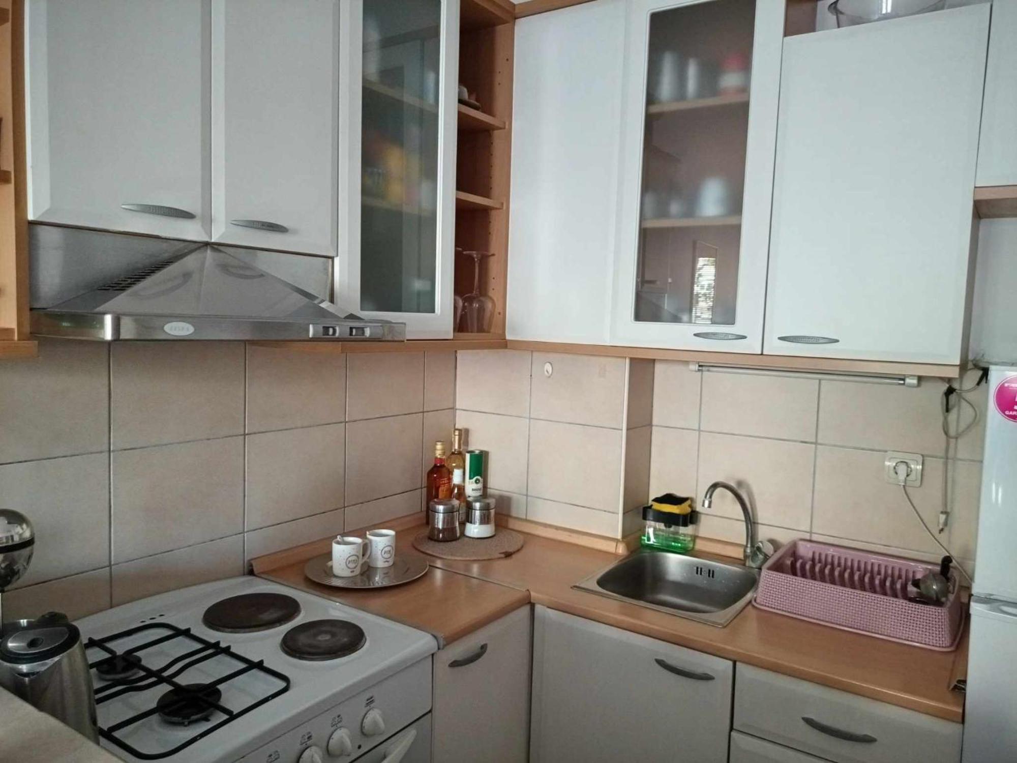 Centar Apartment Aleks スコピエ エクステリア 写真