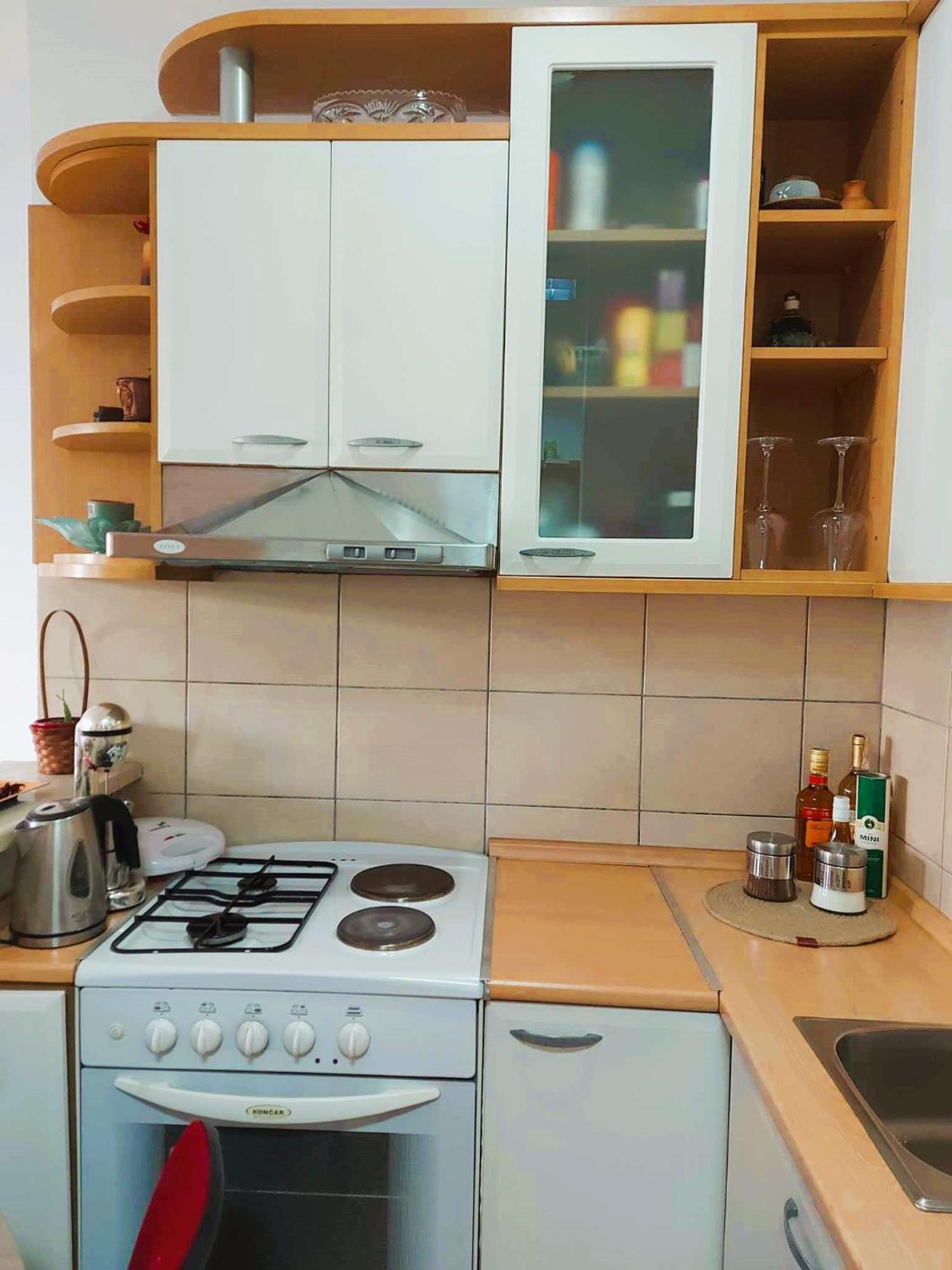 Centar Apartment Aleks スコピエ エクステリア 写真