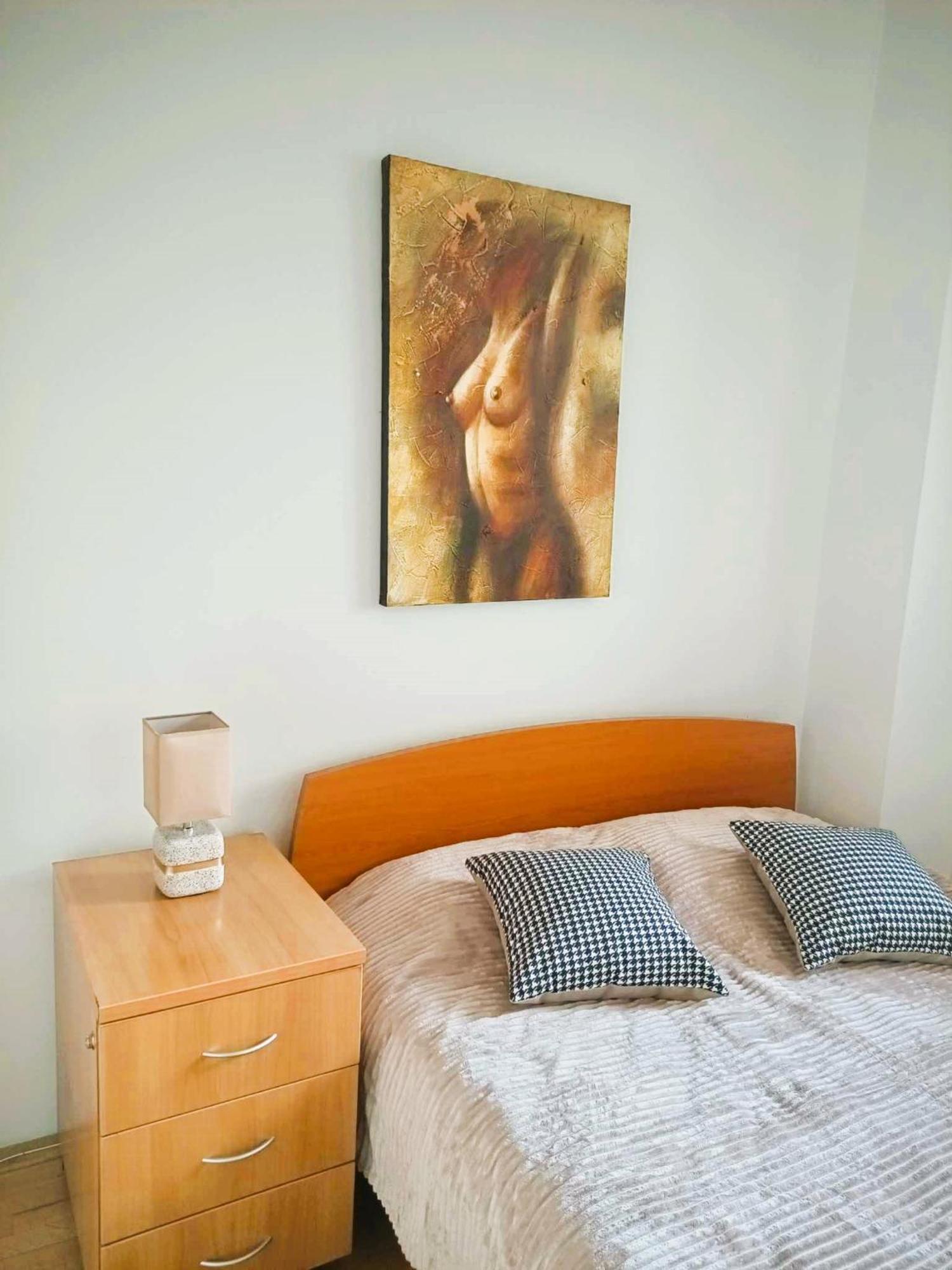 Centar Apartment Aleks スコピエ エクステリア 写真