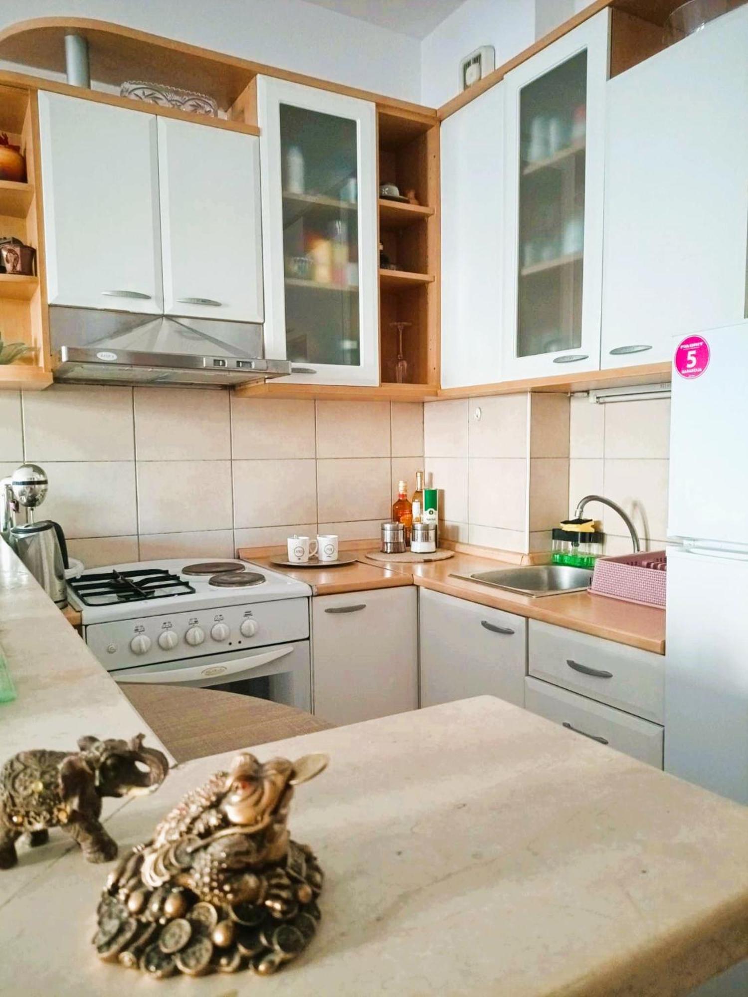 Centar Apartment Aleks スコピエ エクステリア 写真