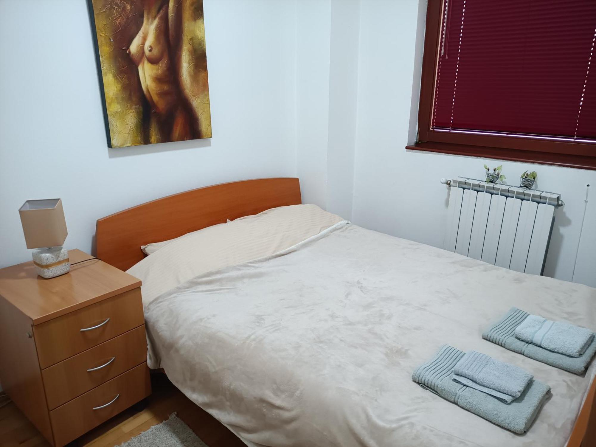 Centar Apartment Aleks スコピエ エクステリア 写真