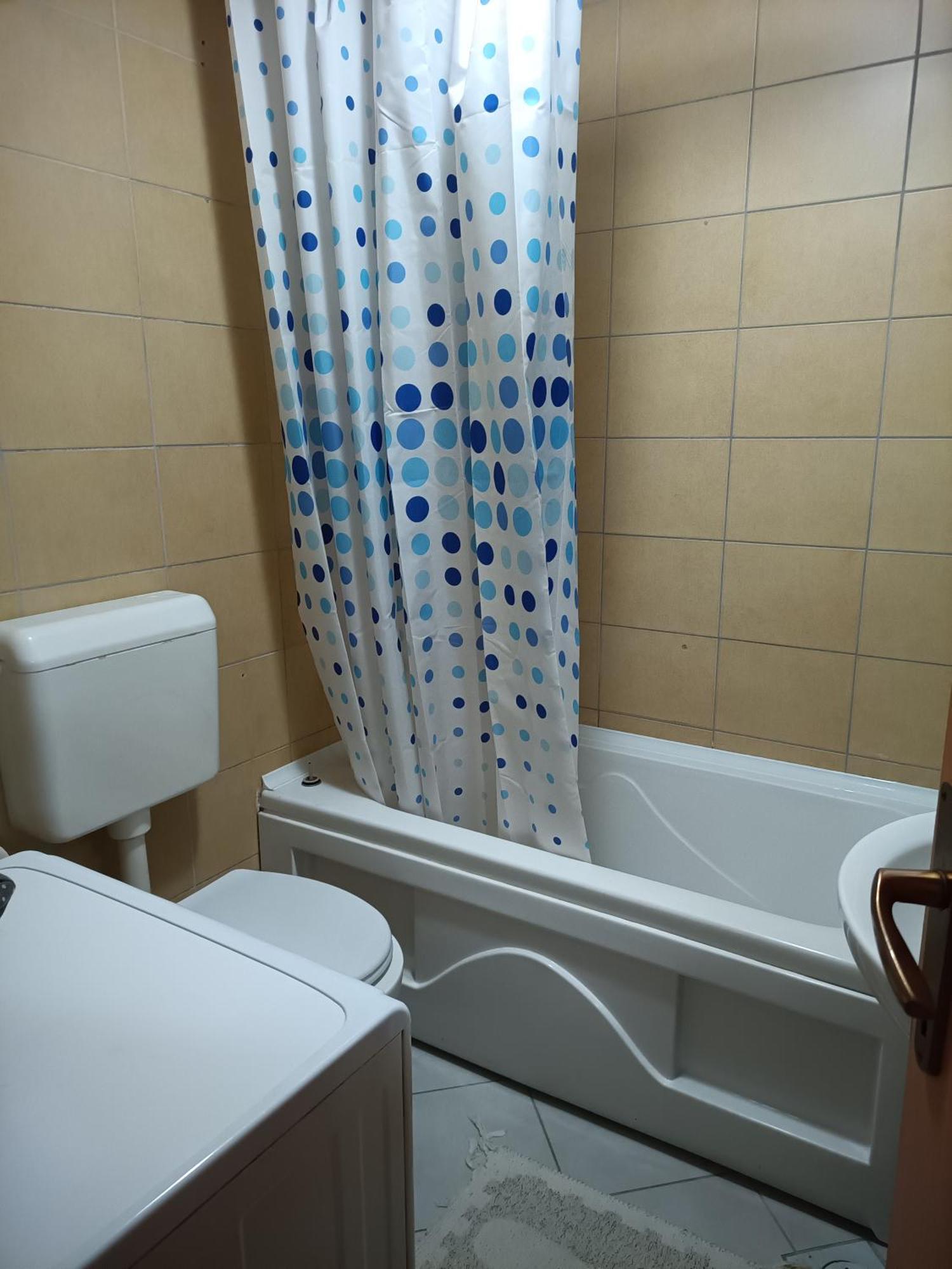 Centar Apartment Aleks スコピエ エクステリア 写真