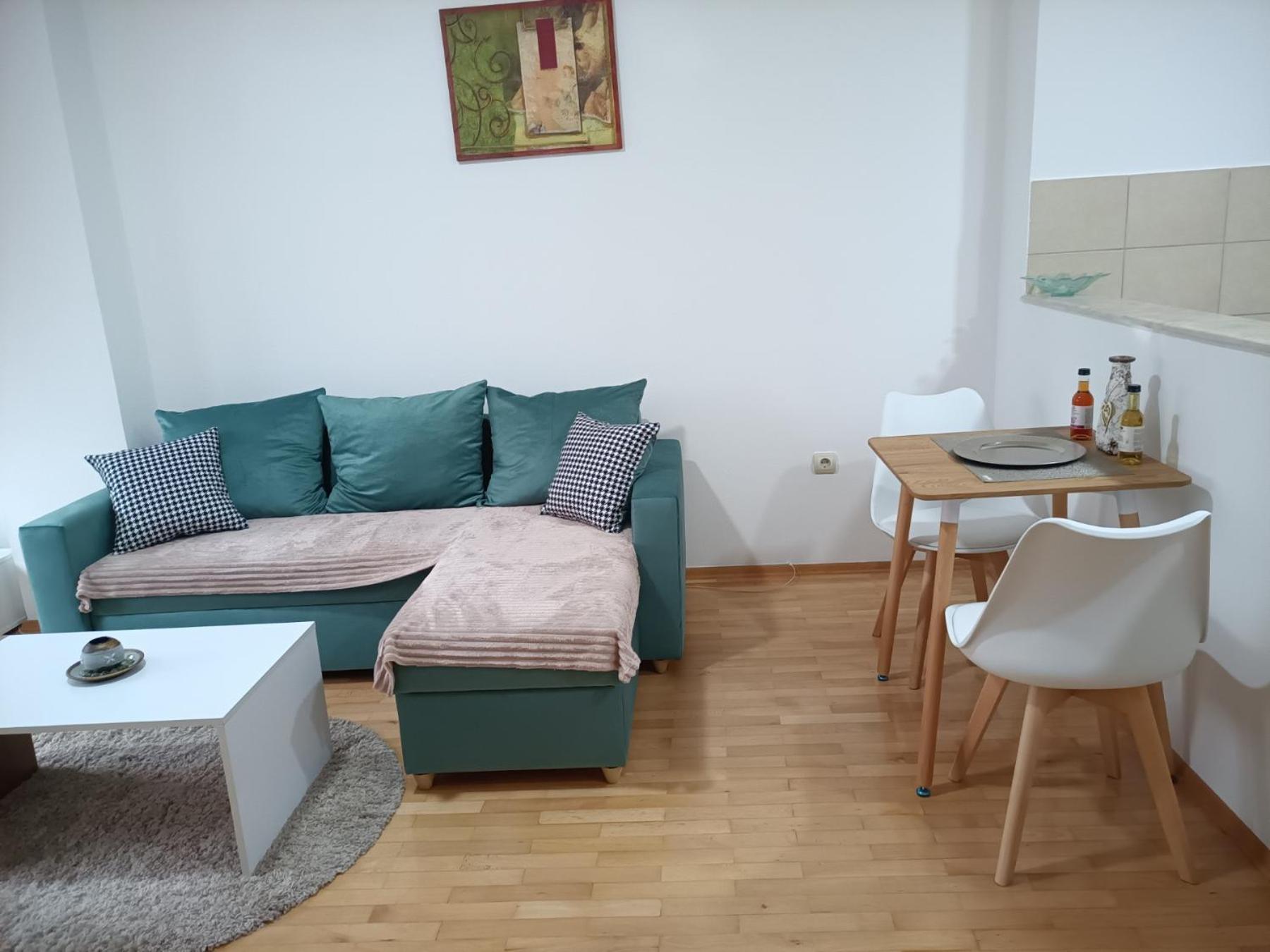 Centar Apartment Aleks スコピエ エクステリア 写真