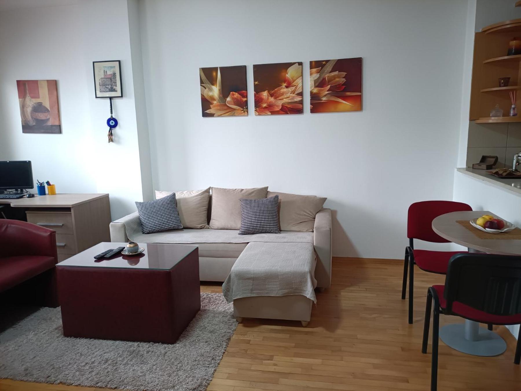 Centar Apartment Aleks スコピエ エクステリア 写真