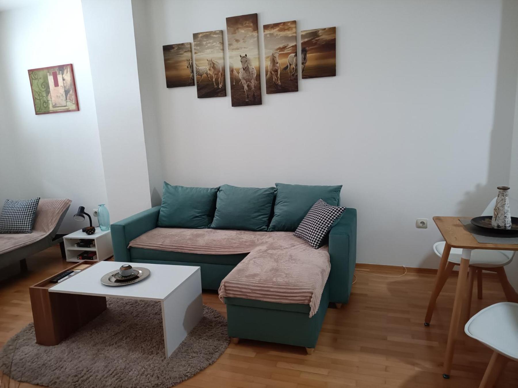 Centar Apartment Aleks スコピエ 部屋 写真